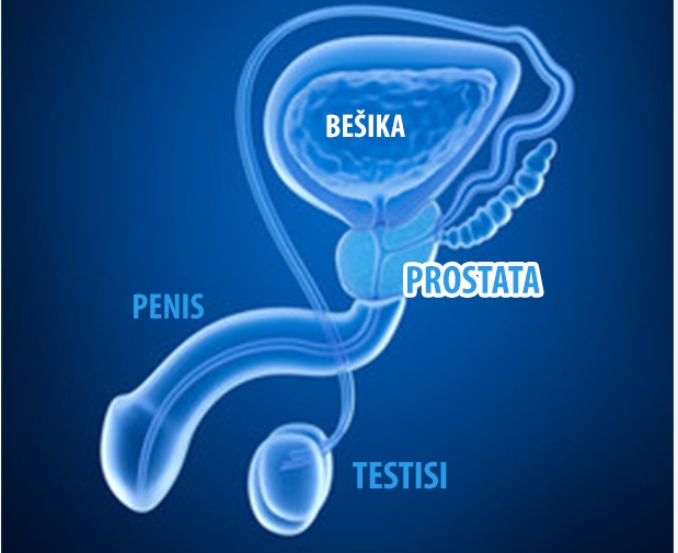 Prostatit tilalmak